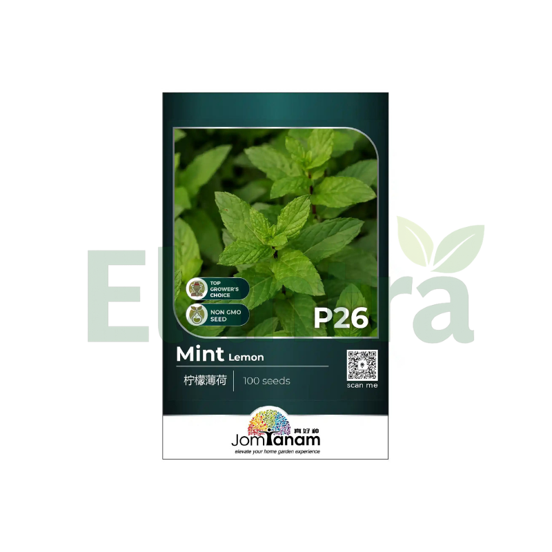 P26 MINT LEMON